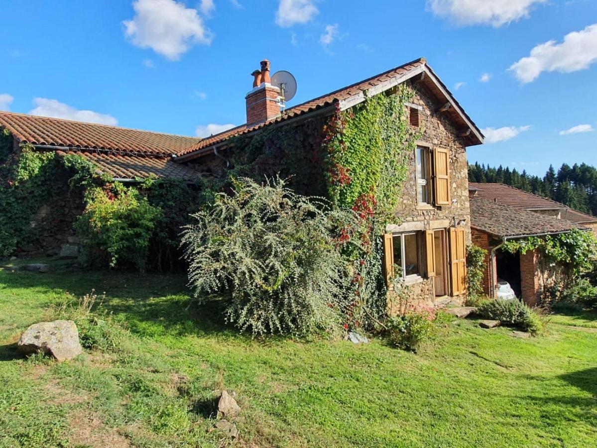 Champagnac-le-Vieux Eco-Gite Cottage Panoramique, Terrasses, Baby Foot, 150 M2 Renove Et Agrandi En 2024, Activites Proposees מראה חיצוני תמונה